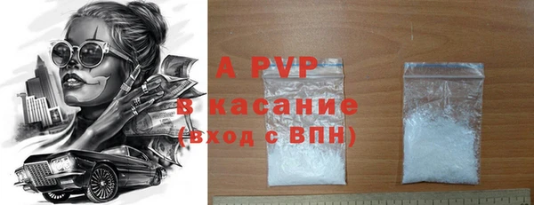 индика Горно-Алтайск