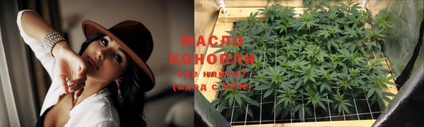 индика Горно-Алтайск