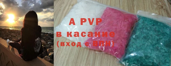 индика Горно-Алтайск