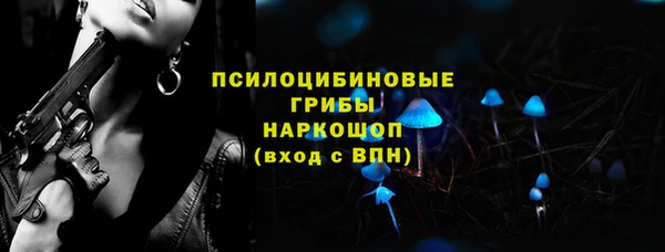 дмт Гусь-Хрустальный