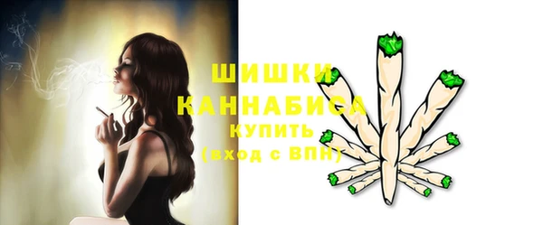 индика Горно-Алтайск