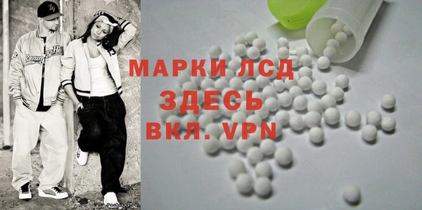 индика Горно-Алтайск