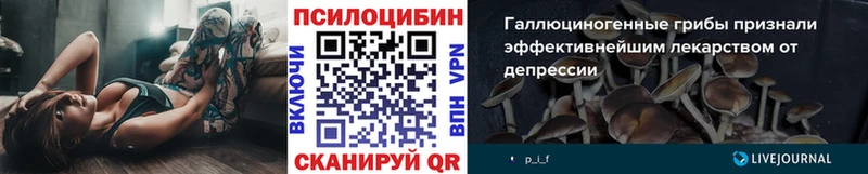Купить  Куровское  Псилоцибиновые грибы Magic Shrooms 